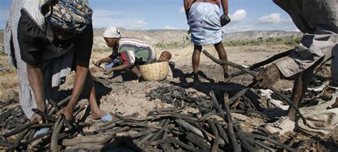 lack of food in haiti